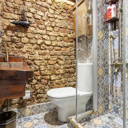 House Of Soul & Triplex With A Winter Garden Holiday home Istanbul